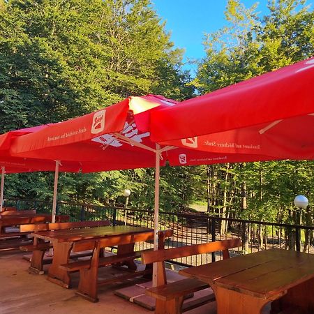 Great Mountain B&B Platak ภายนอก รูปภาพ