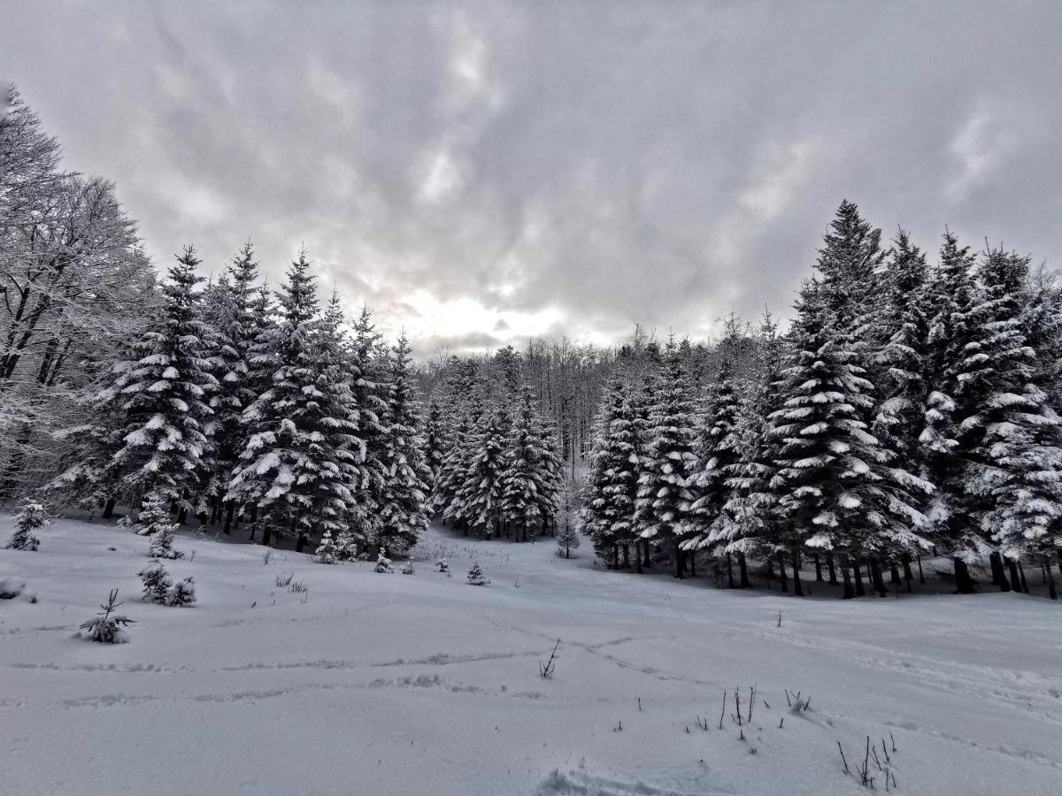 Great Mountain B&B Platak ภายนอก รูปภาพ